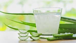 Benefits of Drinking Aloe Vera Juice