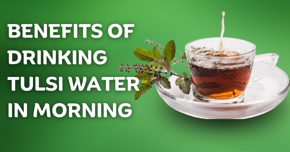 benefits of drinking tulsi water in morning