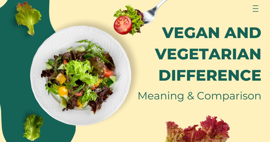 Vegan and Vegetarian Difference